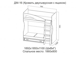 ДМ-16 Кровать двухъярусная с ящиком в Надыме - nadym.магазин96.com | фото