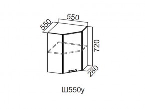 Ш550у/720 Шкаф навесной 550/720 (угловой) в Надыме - nadym.магазин96.com | фото