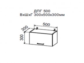Шкаф верхний ДПГ500 горизонтальный в Надыме - nadym.магазин96.com | фото