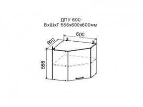Шкаф верхний ДПУ600 угловой в Надыме - nadym.магазин96.com | фото